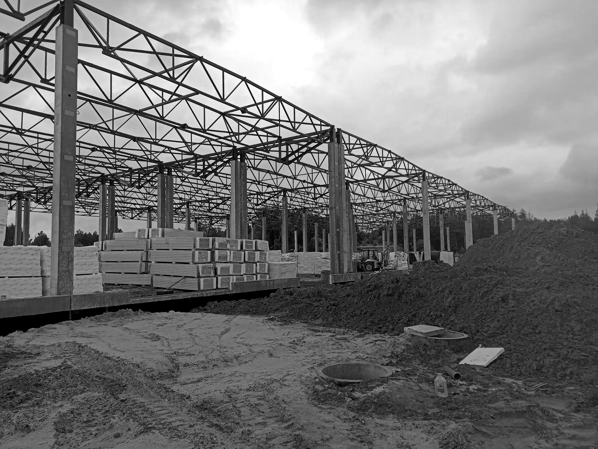 Precast structural framework and crane assembly